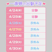 ヒメ日記 2025/04/24 11:57 投稿 もあ ハピネス東京