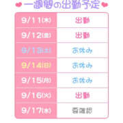 ヒメ日記 2025/09/11 07:57 投稿 もあ ハピネス東京