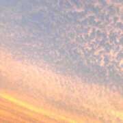 ヒメ日記 2025/10/22 14:17 投稿 もあ ハピネス東京