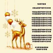 もあ 12月と年末年始の予定表♡ ハピネス東京