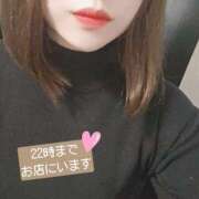 ヒメ日記 2025/02/28 11:07 投稿 あすか 渋谷じゃっくす