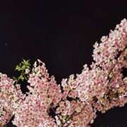 ヒメ日記 2025/03/19 22:37 投稿 あすか 渋谷じゃっくす