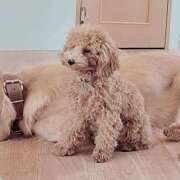 あすか T様♡18時～ 渋谷じゃっくす