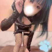 ヒメ日記 2025/03/18 15:56 投稿 モニカ マリン千姫