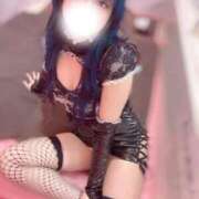 ヒメ日記 2025/04/20 08:06 投稿 モニカ マリン千姫