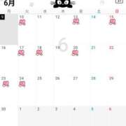 松島汐音 今週以降の出勤予定 ローテンブルク