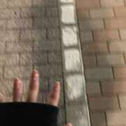 ヒメ日記 2025/05/19 15:28 投稿 える ホテピン