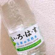 ヒメ日記 2025/07/16 11:08 投稿 える ホテピン