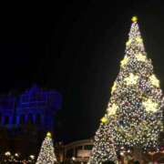 ヒメ日記 2025/12/25 13:28 投稿 える ホテピン