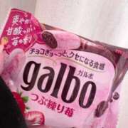 ヒメ日記 2026/04/17 19:28 投稿 える ホテピン