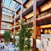 ヒメ日記 2025/01/09 12:59 投稿 みそら 奥鉄オクテツ東京店（デリヘル市場）