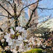 ヒメ日記 2025/03/26 12:12 投稿 みそら 奥鉄オクテツ東京店（デリヘル市場）