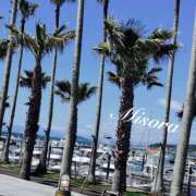 ヒメ日記 2025/06/06 12:41 投稿 みそら 奥鉄オクテツ東京店（デリヘル市場）