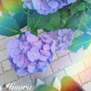 ヒメ日記 2025/06/10 12:33 投稿 みそら 奥鉄オクテツ東京店（デリヘル市場）