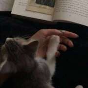 ヒメ日記 2025/02/27 17:09 投稿 みく 松戸人妻 MAD熟女