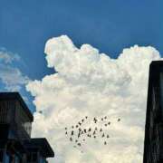 ヒメ日記 2025/08/22 11:59 投稿 みく 松戸人妻 MAD熟女