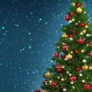 ヒメ日記 2025/12/11 12:09 投稿 みく 松戸人妻 MAD熟女