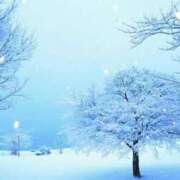 ヒメ日記 2026/01/16 12:19 投稿 みく 松戸人妻 MAD熟女