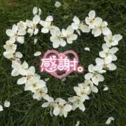 ヒメ日記 2025/01/28 21:02 投稿 まゆり 熟女の風俗最終章 西川口店