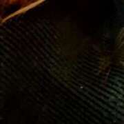 ヒメ日記 2025/03/18 13:04 投稿 まゆり 熟女の風俗最終章 西川口店