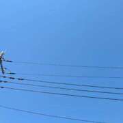 ヒメ日記 2025/03/22 11:17 投稿 まゆり 熟女の風俗最終章 西川口店