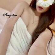 ヒメ日記 2025/09/21 15:39 投稿 すざく 恋する人妻