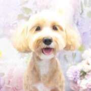 ヒメ日記 2025/02/09 13:42 投稿 ★美作せりか★ CLUB39（クラブサンキュー）