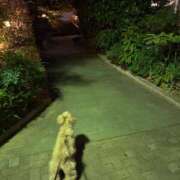 ヒメ日記 2025/03/07 14:52 投稿 ★美作せりか★ CLUB39（クラブサンキュー）