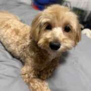 ヒメ日記 2025/05/13 12:03 投稿 ★美作せりか★ CLUB39（クラブサンキュー）