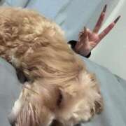 ヒメ日記 2025/05/24 18:52 投稿 ★美作せりか★ CLUB39（クラブサンキュー）