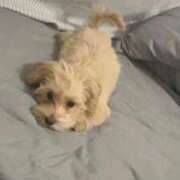 ヒメ日記 2025/09/18 00:52 投稿 ★美作せりか★ CLUB39（クラブサンキュー）