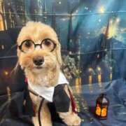 ヒメ日記 2025/11/06 20:12 投稿 ★美作せりか★ CLUB39（クラブサンキュー）