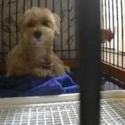 ヒメ日記 2025/11/14 22:22 投稿 ★美作せりか★ CLUB39（クラブサンキュー）