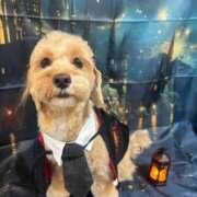 ヒメ日記 2025/11/15 10:53 投稿 ★美作せりか★ CLUB39（クラブサンキュー）