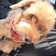 ヒメ日記 2025/11/15 15:52 投稿 ★美作せりか★ CLUB39（クラブサンキュー）