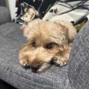 ヒメ日記 2025/11/16 14:42 投稿 ★美作せりか★ CLUB39（クラブサンキュー）