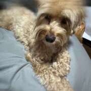 ヒメ日記 2026/01/15 20:22 投稿 ★美作せりか★ CLUB39（クラブサンキュー）