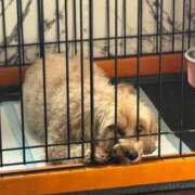 ヒメ日記 2026/04/19 21:32 投稿 ★美作せりか★ CLUB39（クラブサンキュー）