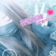 ヒメ日記 2025/04/13 17:48 投稿 スベスベマンジュウガニ 女の子市場