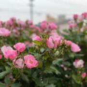 ヒメ日記 2025/05/22 18:02 投稿 みよ 人妻の雫　福山店