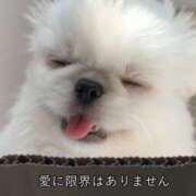 ヒメ日記 2024/12/10 16:22 投稿 かな お姉京都