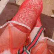 ヒメ日記 2024/12/23 23:12 投稿 かな お姉京都