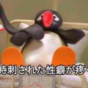 ヒメ日記 2025/01/18 18:22 投稿 かな お姉京都