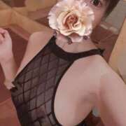 ヒメ日記 2025/02/02 18:02 投稿 かな お姉京都