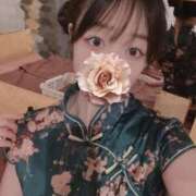 ヒメ日記 2025/03/26 16:22 投稿 かな お姉京都