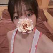 ヒメ日記 2025/03/31 16:22 投稿 かな お姉京都