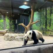 ヒメ日記 2025/04/06 14:31 投稿 かな お姉京都