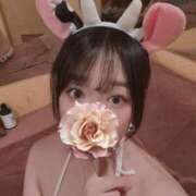 ヒメ日記 2025/04/11 17:52 投稿 かな お姉京都