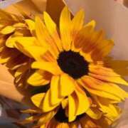 ヒメ日記 2025/06/08 13:52 投稿 かな お姉京都