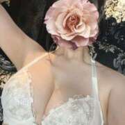 ヒメ日記 2025/07/08 11:02 投稿 かな お姉京都